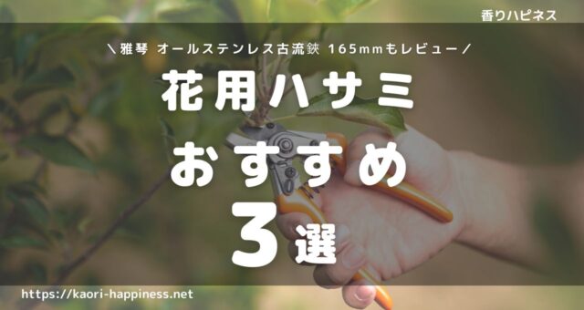 花用のハサミおすすめ3選｜雅琴 オールステンレス古流鋏 165mmレビュー